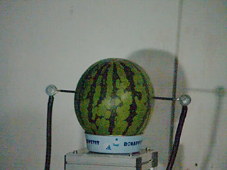 Watermelon 5kJ 01 012