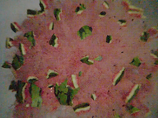 Watermelon 5kJ 01 021